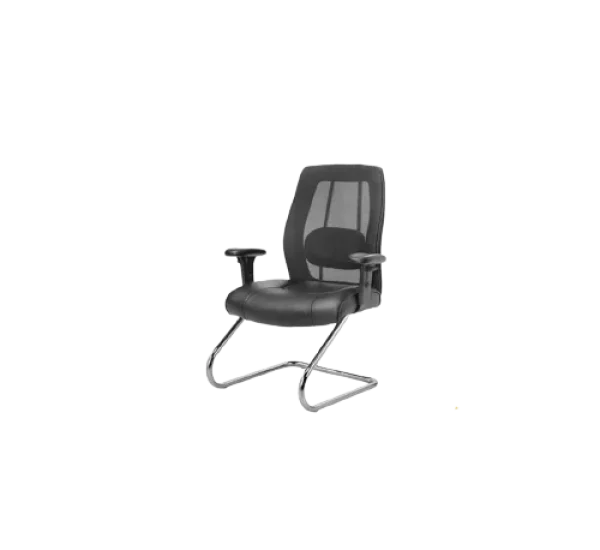 Eco side chair