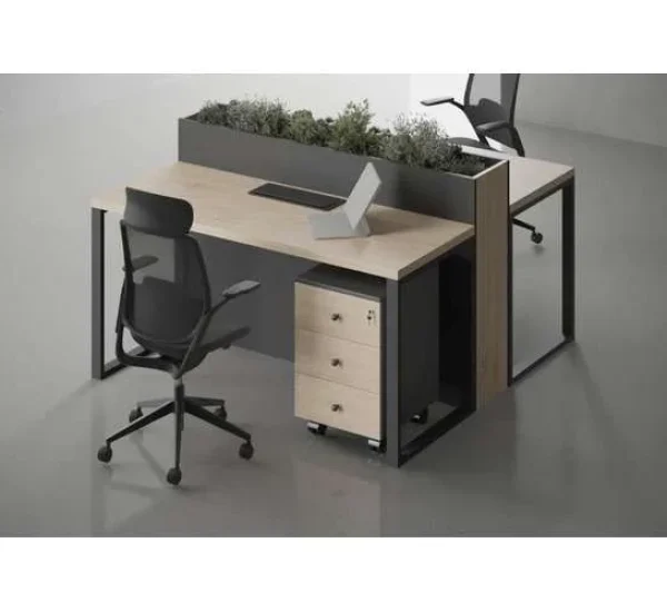Latus Planter 2 seats Workstation without storages