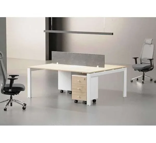 Ferrum 2Seats Workstation without storages